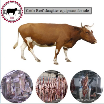 Cattle Bull Slaughtering Butcher Machine for Sale